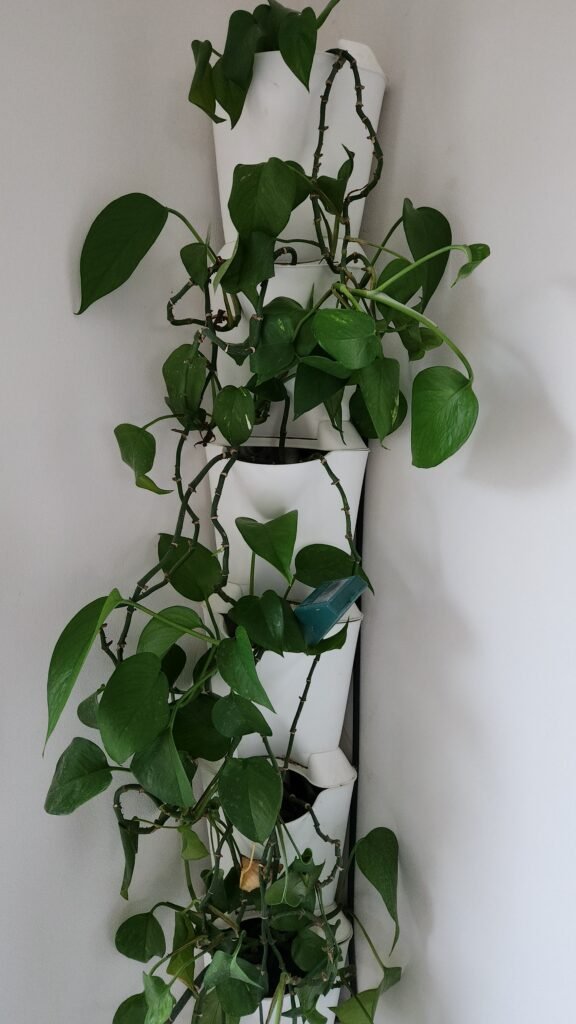 Mijn minigarden verticale living planten wall